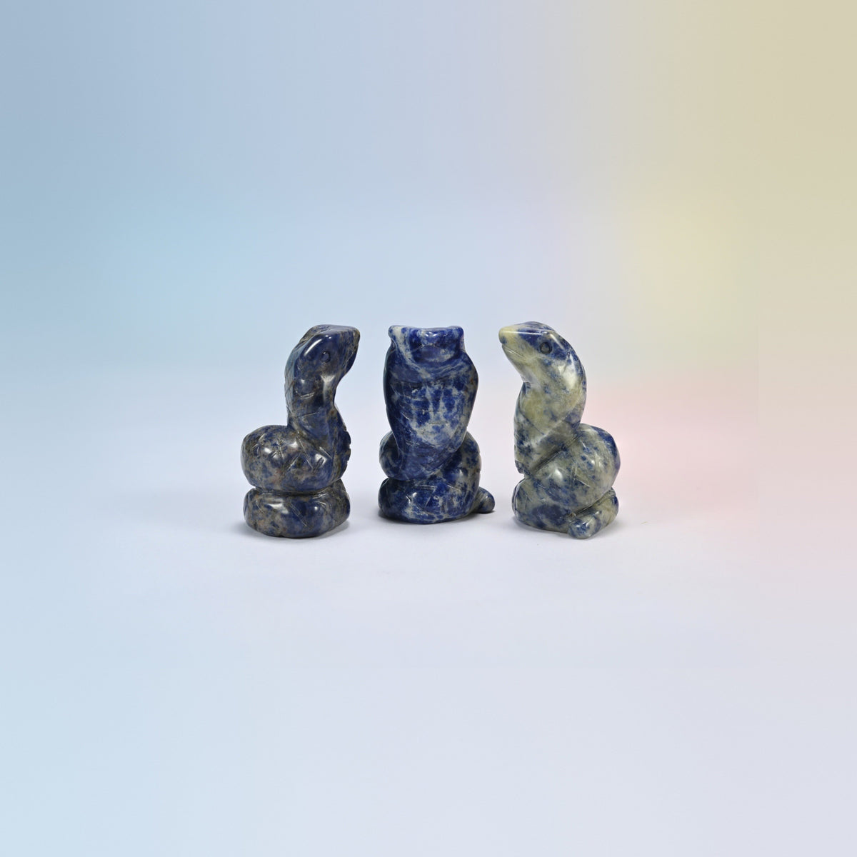 Cobra snake crystal carving in sodalite, deep blue natural stone with white veins