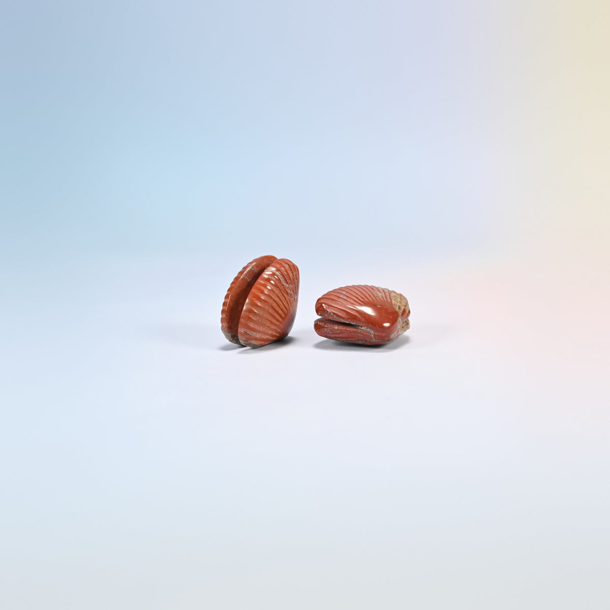 Two red jasper clam shell crystal carvings, 1.5 inch, brick red natural stone