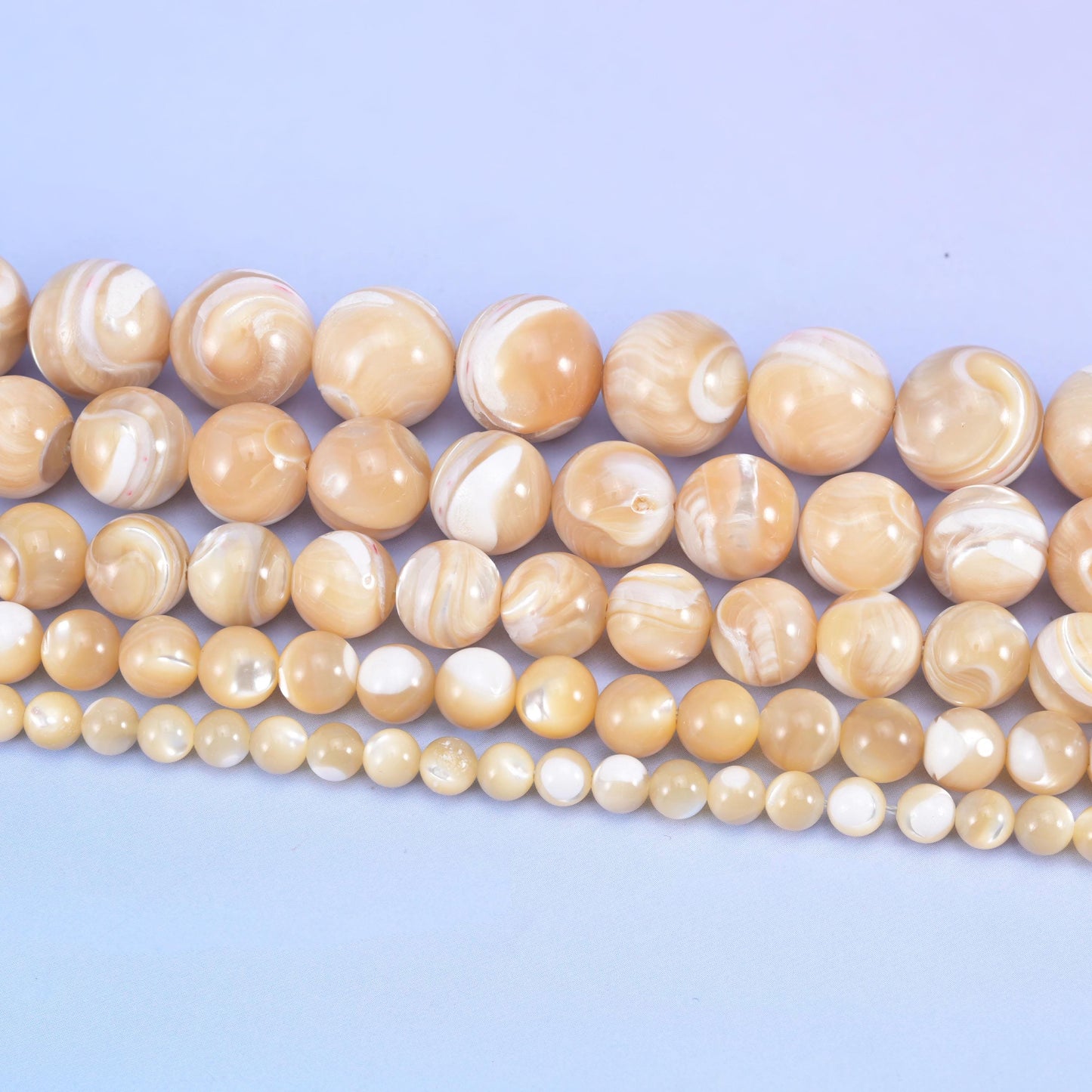 Smooth round cut trochus shell beads