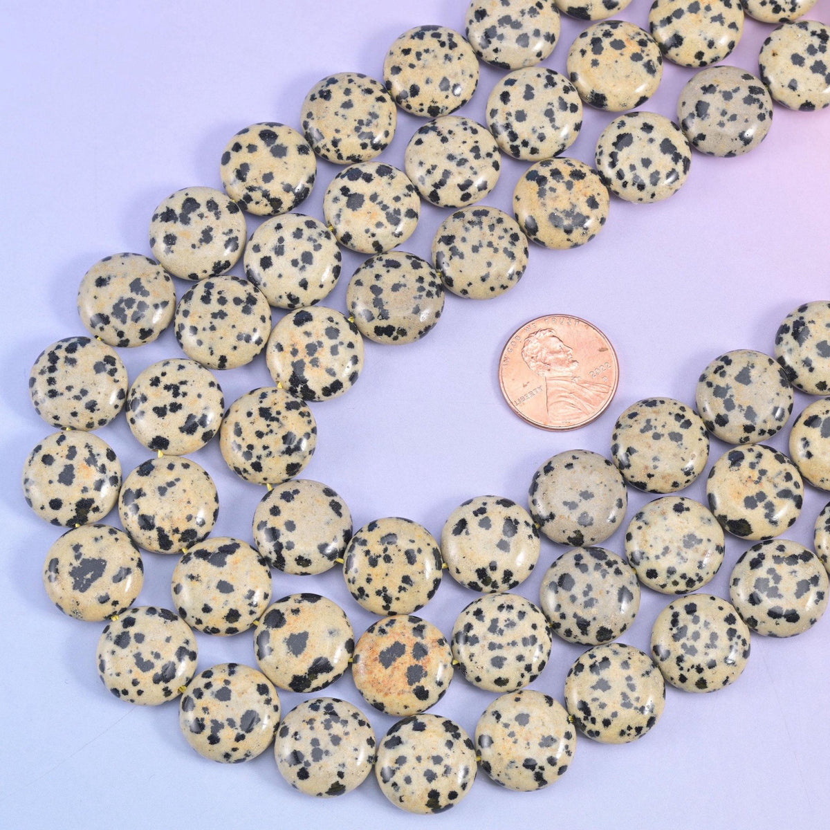 Dalmatian Jasper Smooth Coin Beads, 15 inch strand