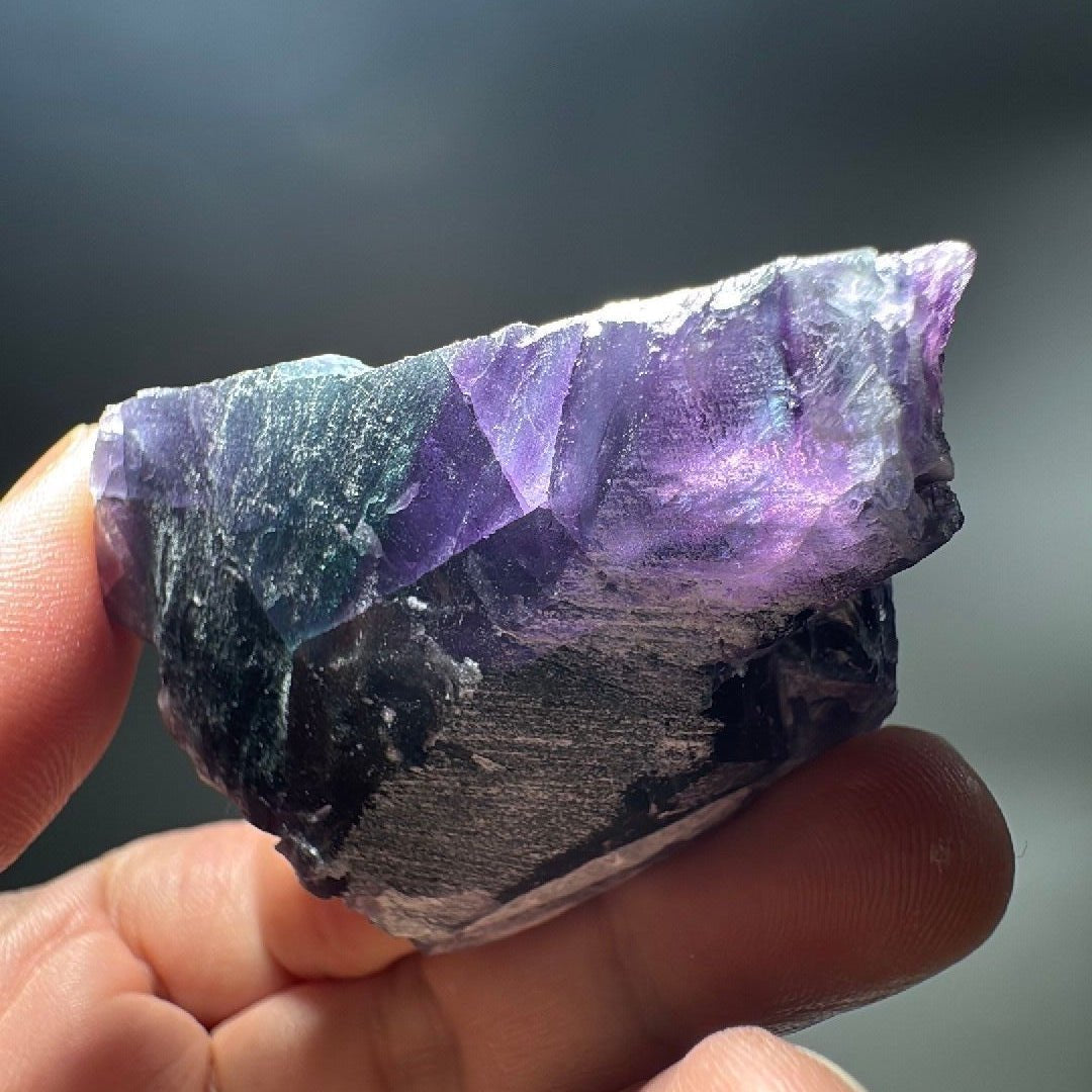 Purple and green banded fluorite specimen showing a translucent cleaved edge.