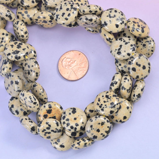 Dalmatian Jasper smooth coin bead strands coiled around a US penny for size reference