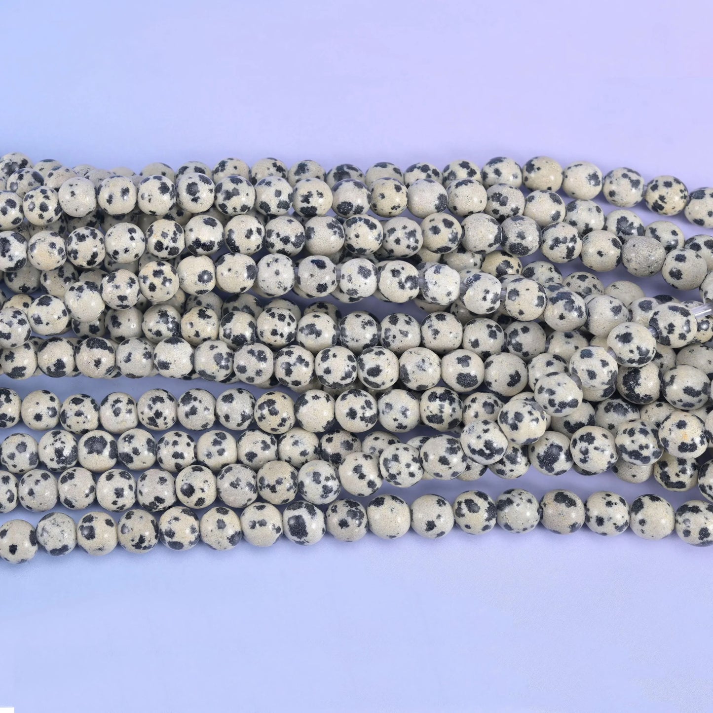 2-2.5mm Hole Dalmatian Jasper Smooth Round Beads 6mm 8mm 10mm Jewelry Making 8 Inch Strand