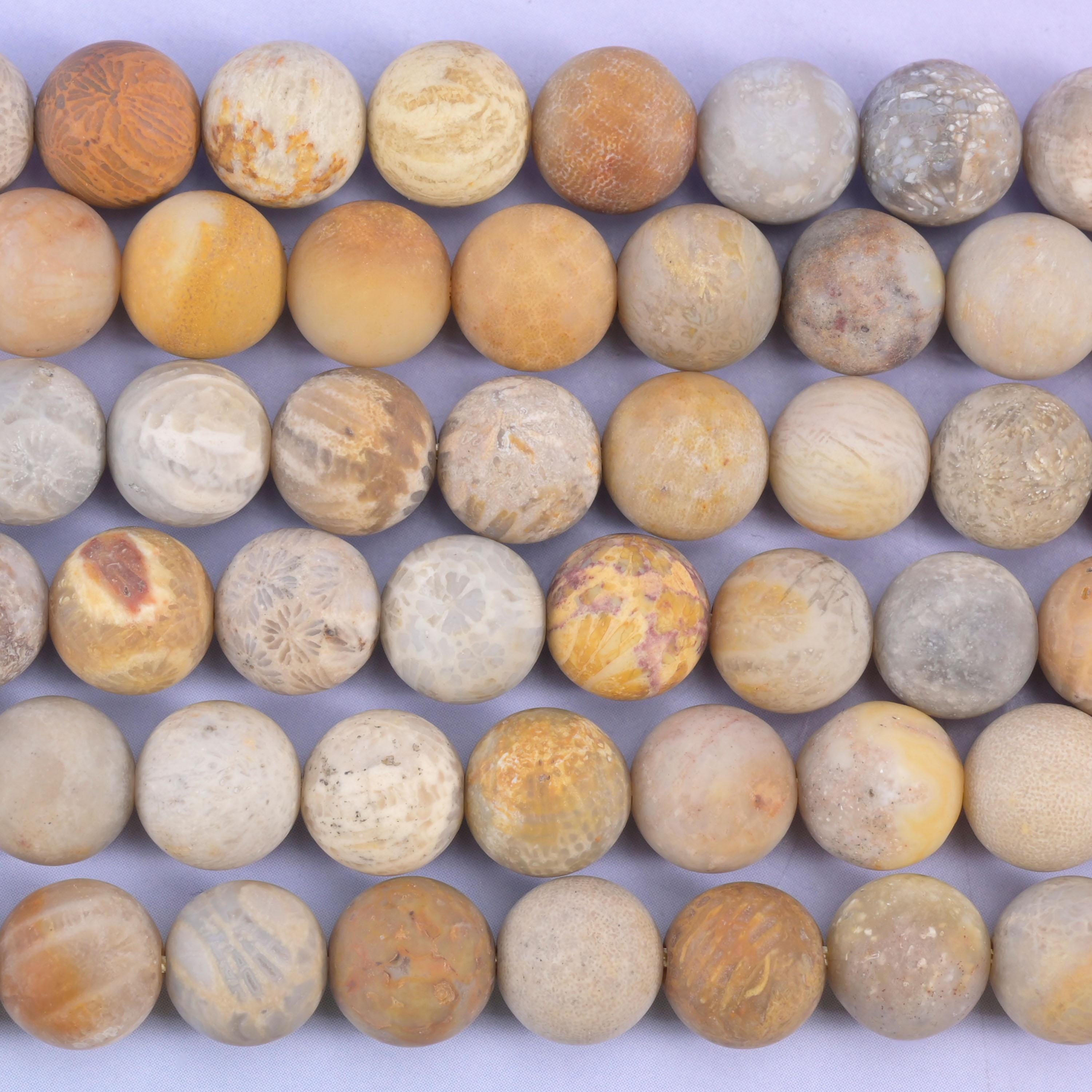 Fossil Coral Matte Round Beads 4mm 6mm 8mm 10mm Jewelry Making 15 Inch Strand