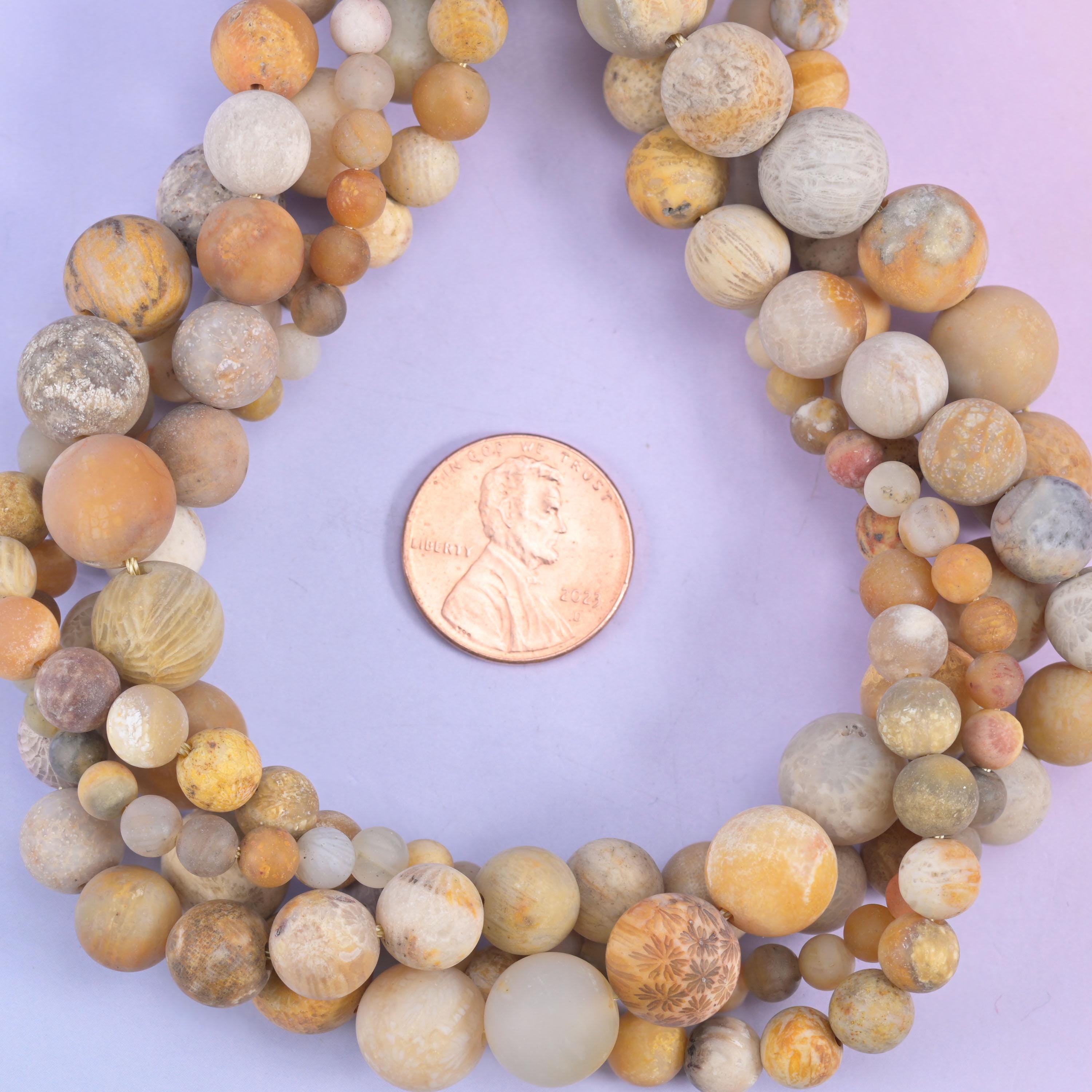 Fossil Coral Matte Round Beads 4mm 6mm 8mm 10mm Jewelry Making 15 Inch Strand