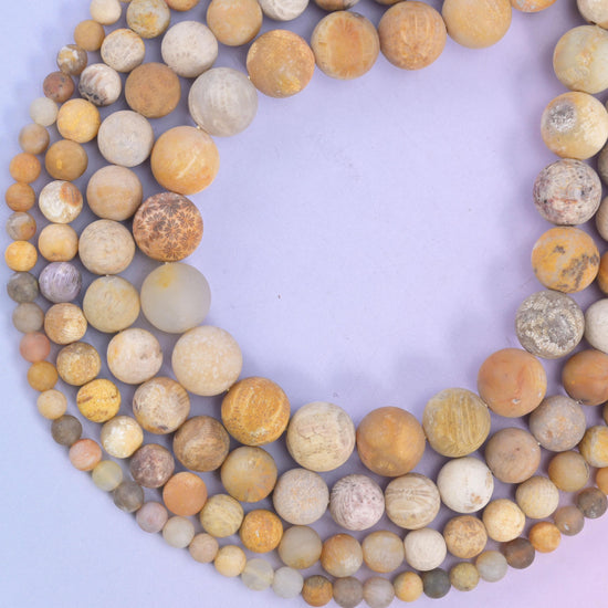 Fossil Coral Matte Round Beads 4mm 6mm 8mm 10mm Jewelry Making 15 Inch Strand