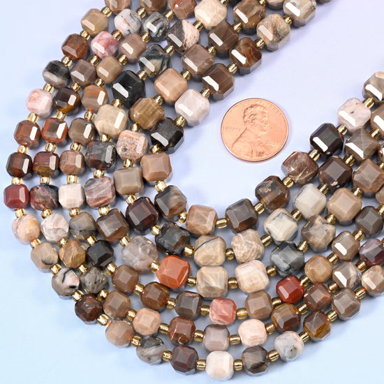 Petrified Wood Faceted Cube Beads: Size 6mm 8mm, Jewelry Making, 15 inch Strand
