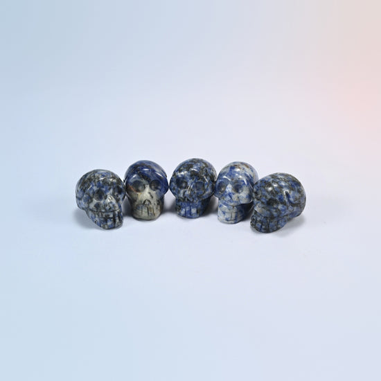1 inch skull crystal carving in sodalite, deep blue natural stone with white veins