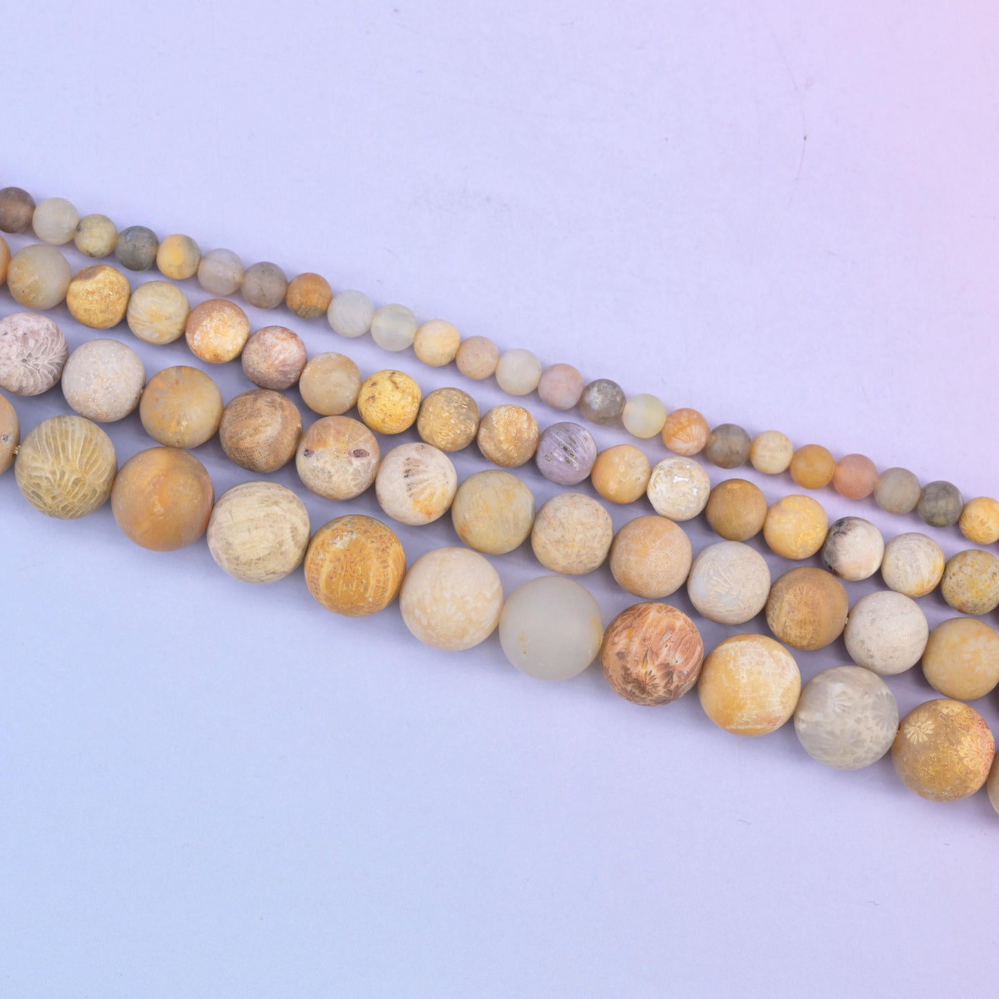 Fossil Coral beads carrying the fine flower-like fossil patterning of ancient coral