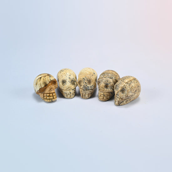 1 inch skull crystal carving in picture jasper, tan natural stone with brown bands