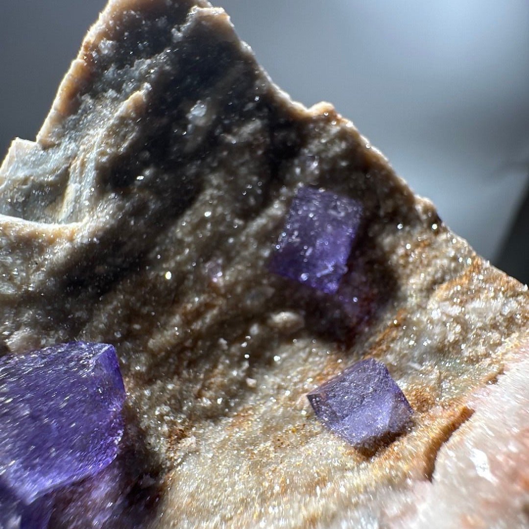 Darker grey section of the rock carrying two violet fluorite cubes and a fine sugary sparkle