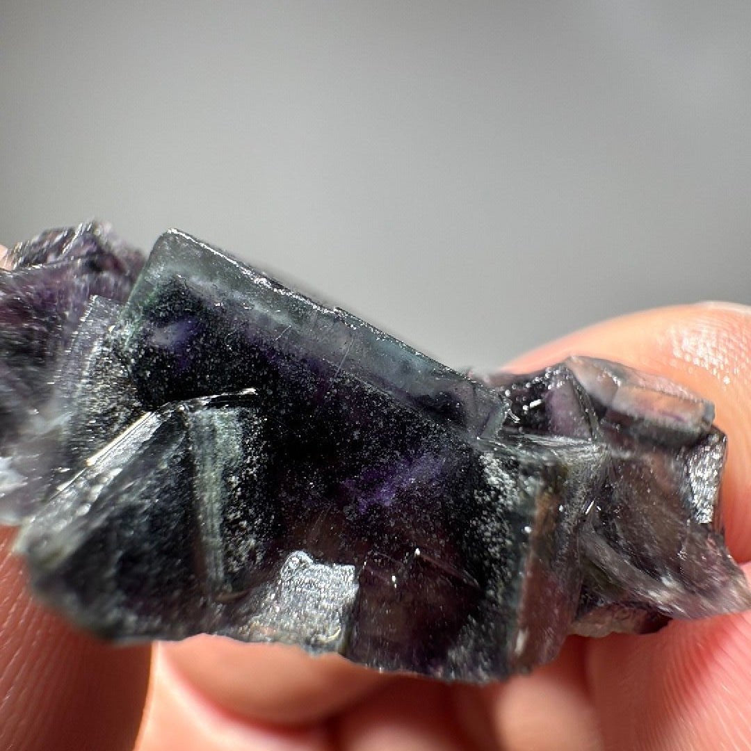 Broadside view of the crystal group, near-black violet beside lighter grey cube faces