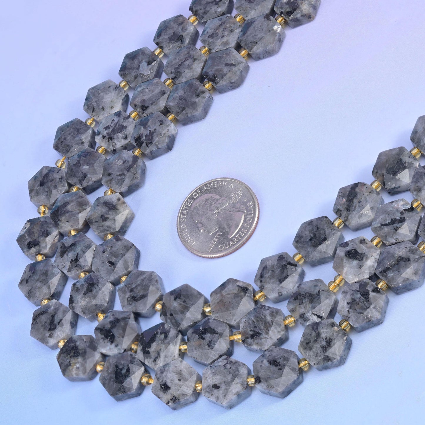 Black Labradorite hexagon strands curved around a coin for size reference