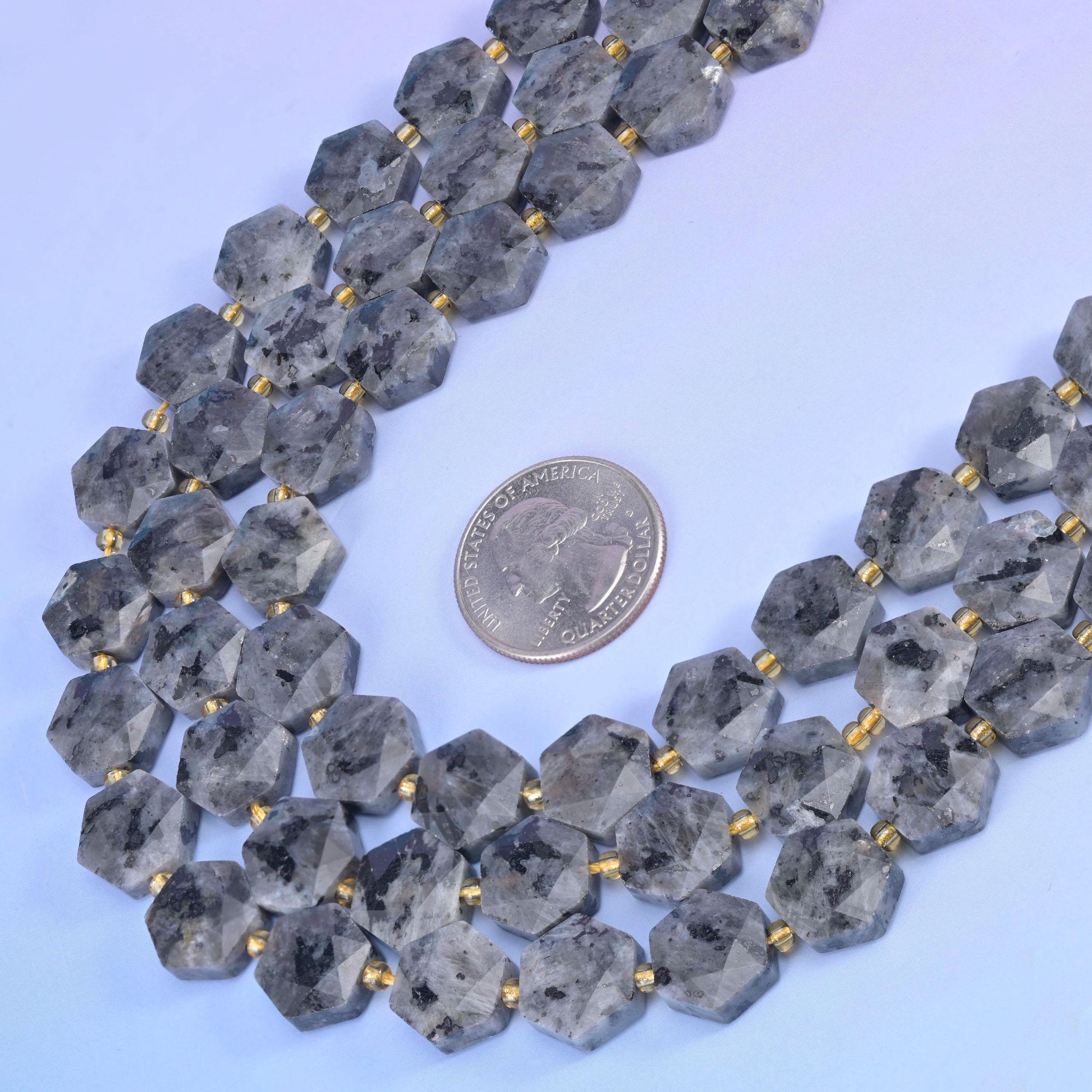 Black Labradorite hexagon strands curved around a coin for size reference