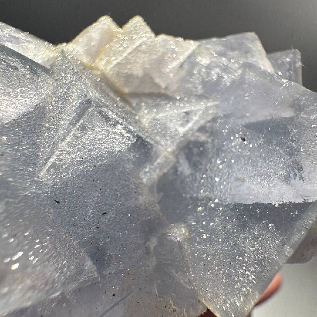 Macro of blue fluorite crystal faces, glassy interiors under a fine sugar-textured surface bloom