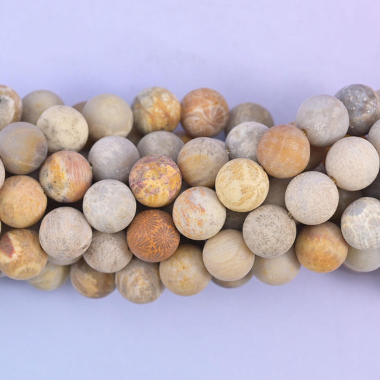 Round cut Fossil Coral beads with a soft, chalky matte surface