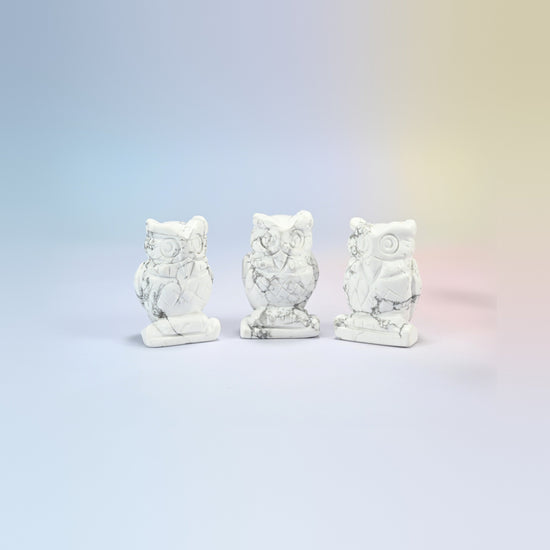 Owl crystal carving in white howlite, white natural stone with gray veining