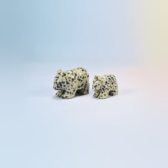 A 2 inch and a 1.5 inch dalmatian jasper bear crystal carving, cream natural stone with black spots