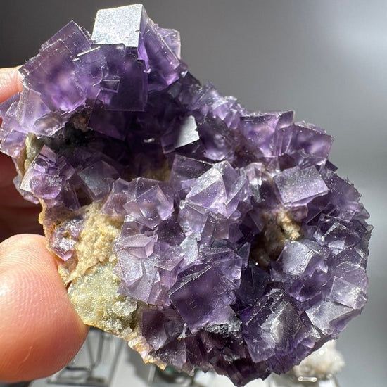 Hand holding a cluster of deep violet fluorite cubes stacked in stepped layers on pale rock
