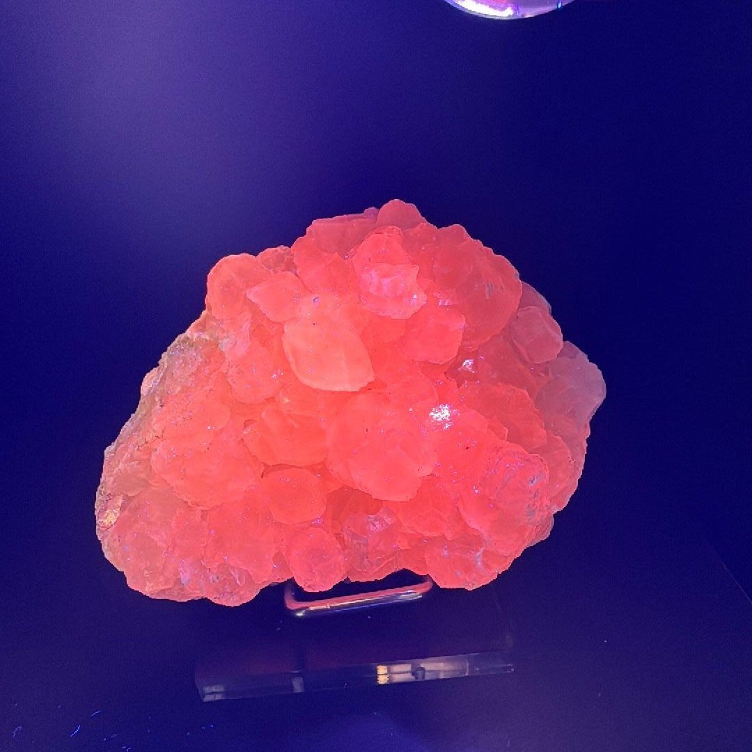 The same calcite specimen fluorescing bright coral pink under ultraviolet light