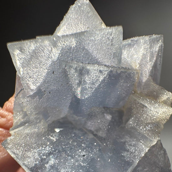 Fluorite cluster held against a grey background, sharp crystal points reading almost white at the tips