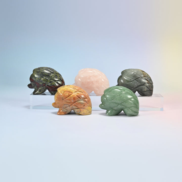 Five hedgehog crystal carvings in dragon bloodstone, rose quartz, African bloodstone, crazy agate and green aventurine, 1.5 and 2 inch