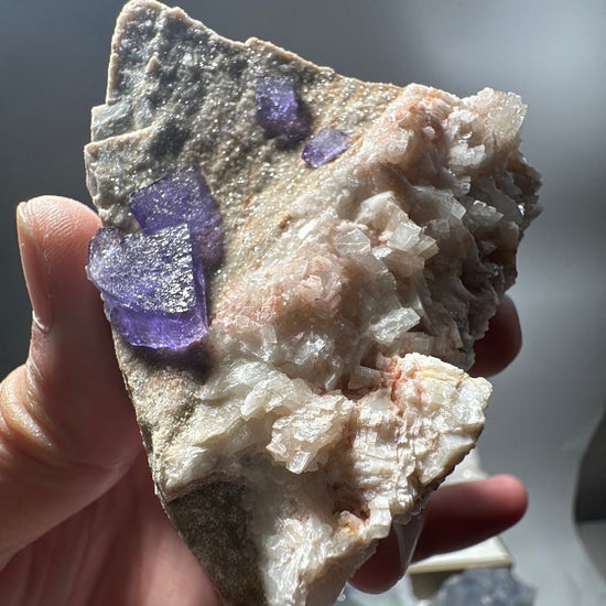 Slab of pale crystalline matrix held in hand, bright violet fluorite cubes set into the surface