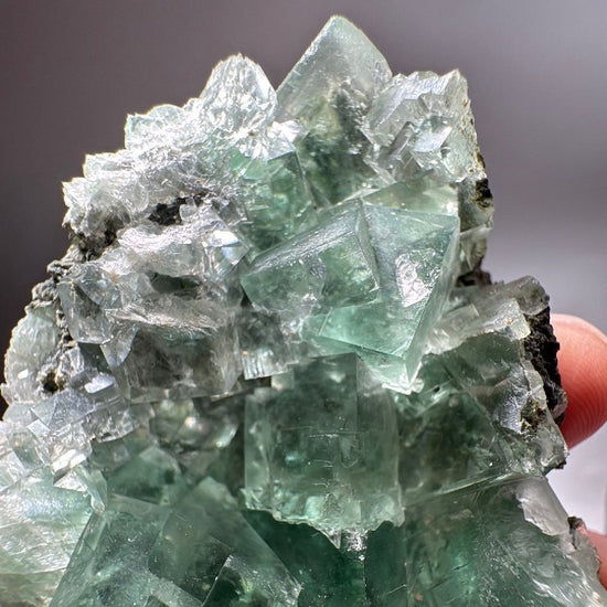 Frosted white and clear Fluorite cubes along one edge of the specimen