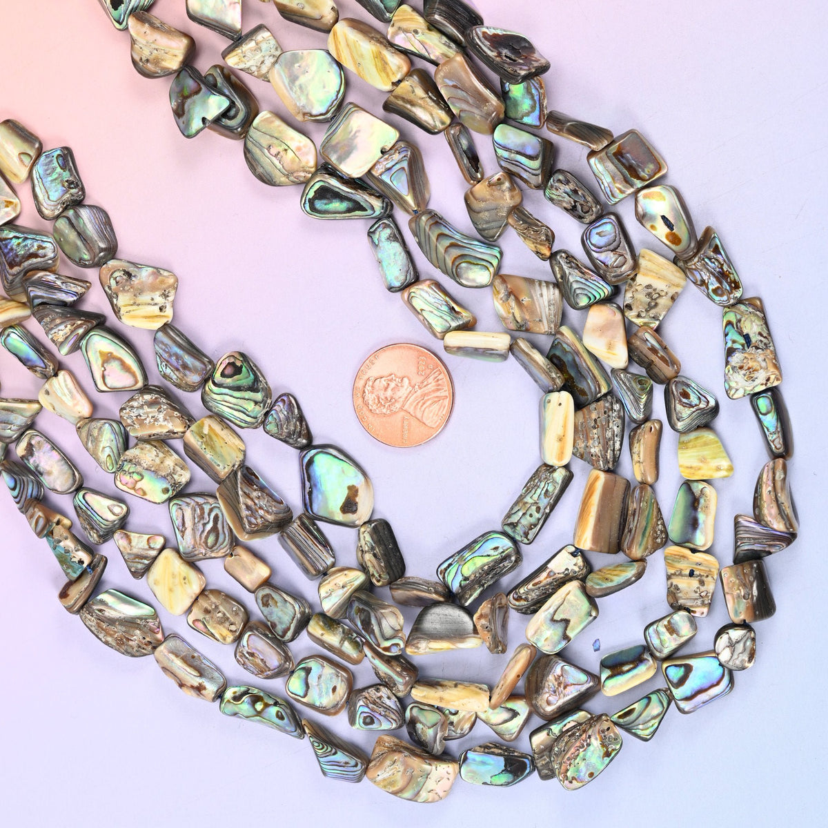 Freeform cut abalone shell beads, one side polished