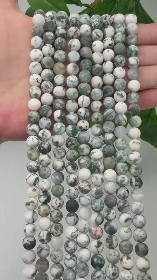 Green Tree Agate Matte Round Beads 4mm 6mm 8mm 10mm Jewelry Making 15 Inch Strand