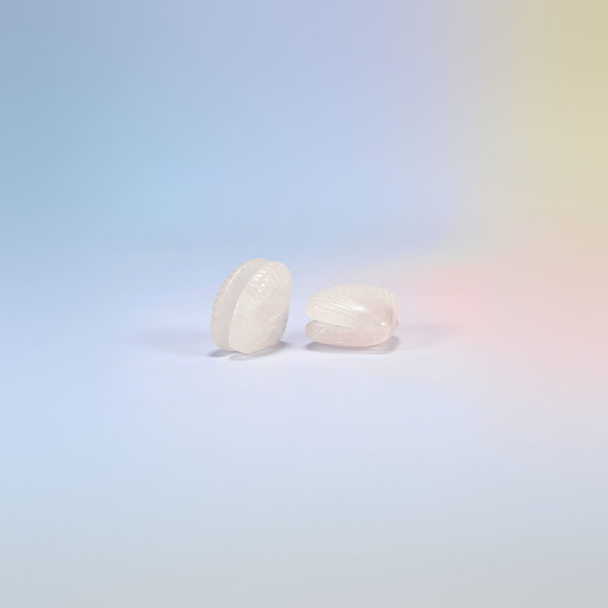 Two rose quartz clam shell crystal carvings, 1.5 inch, soft pink natural stone