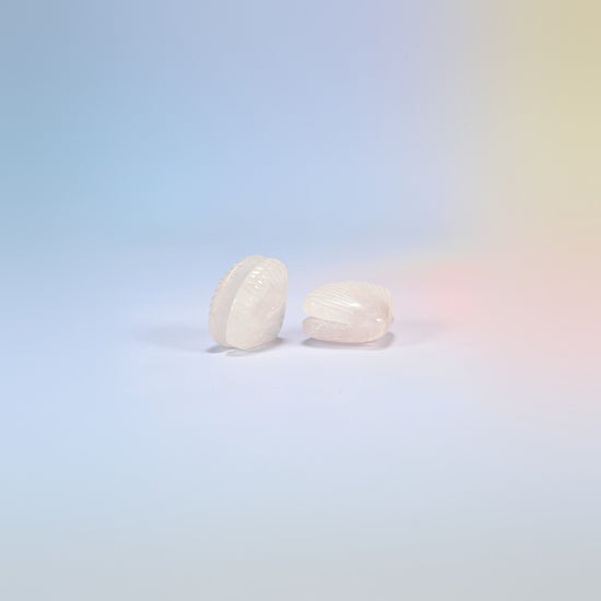 Two rose quartz clam shell crystal carvings, 1.5 inch, soft pink natural stone