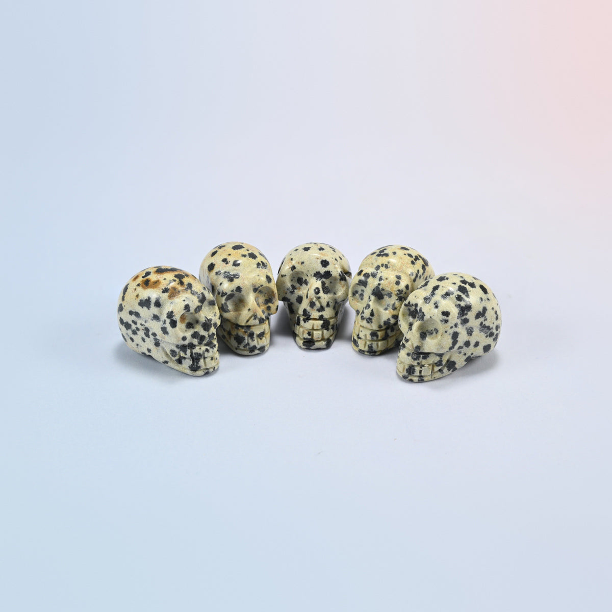 1 inch skull crystal carving in dalmatian jasper, cream natural stone with black spots