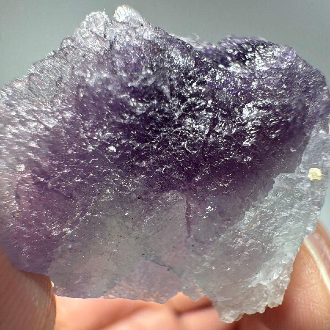 Purple and white fluorite specimen held in a hand, deep grape crown fading into frosty pale lavender
