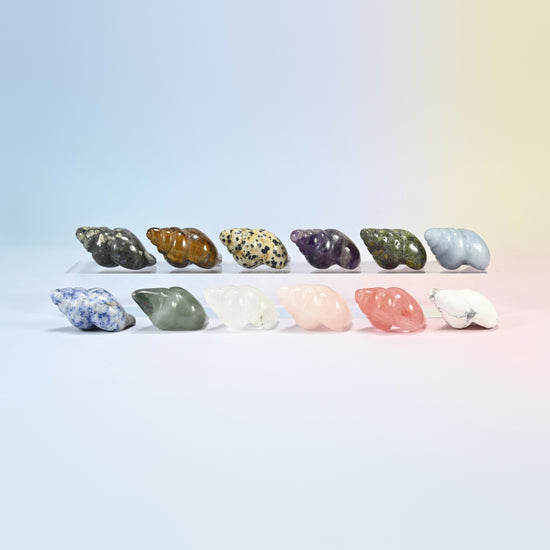 Twelve 1.5 inch conch shell crystal carvings in two rows, natural stones plus cherry quartz (man-made glass)
