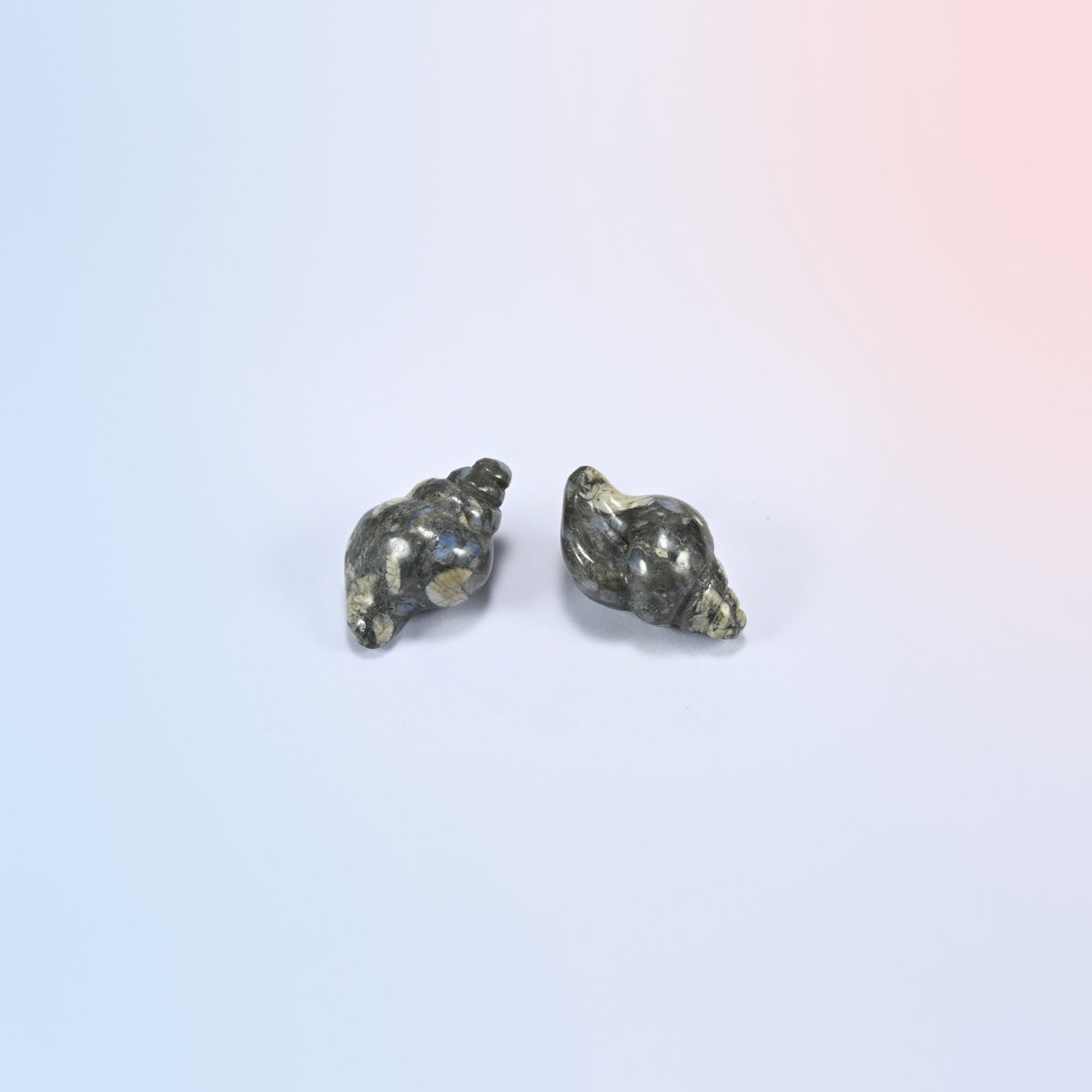 Two natural blue labradorite conch shell crystal carvings, 1.5 inch, dark gray with blue flash