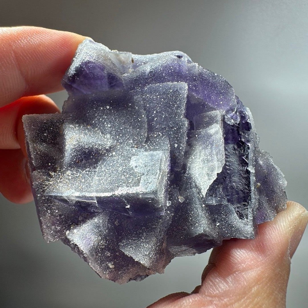 Hand holding a flat plate of purple fluorite cubes frosted with sparkling white quartz