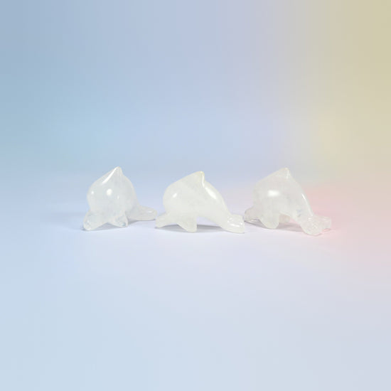 Three clear quartz dolphin crystal carvings, 2 inch, milky clear natural stone