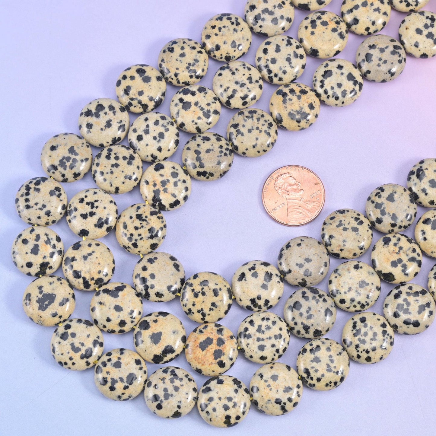 Dalmatian Jasper Smooth Coin Beads, 15 inch strand