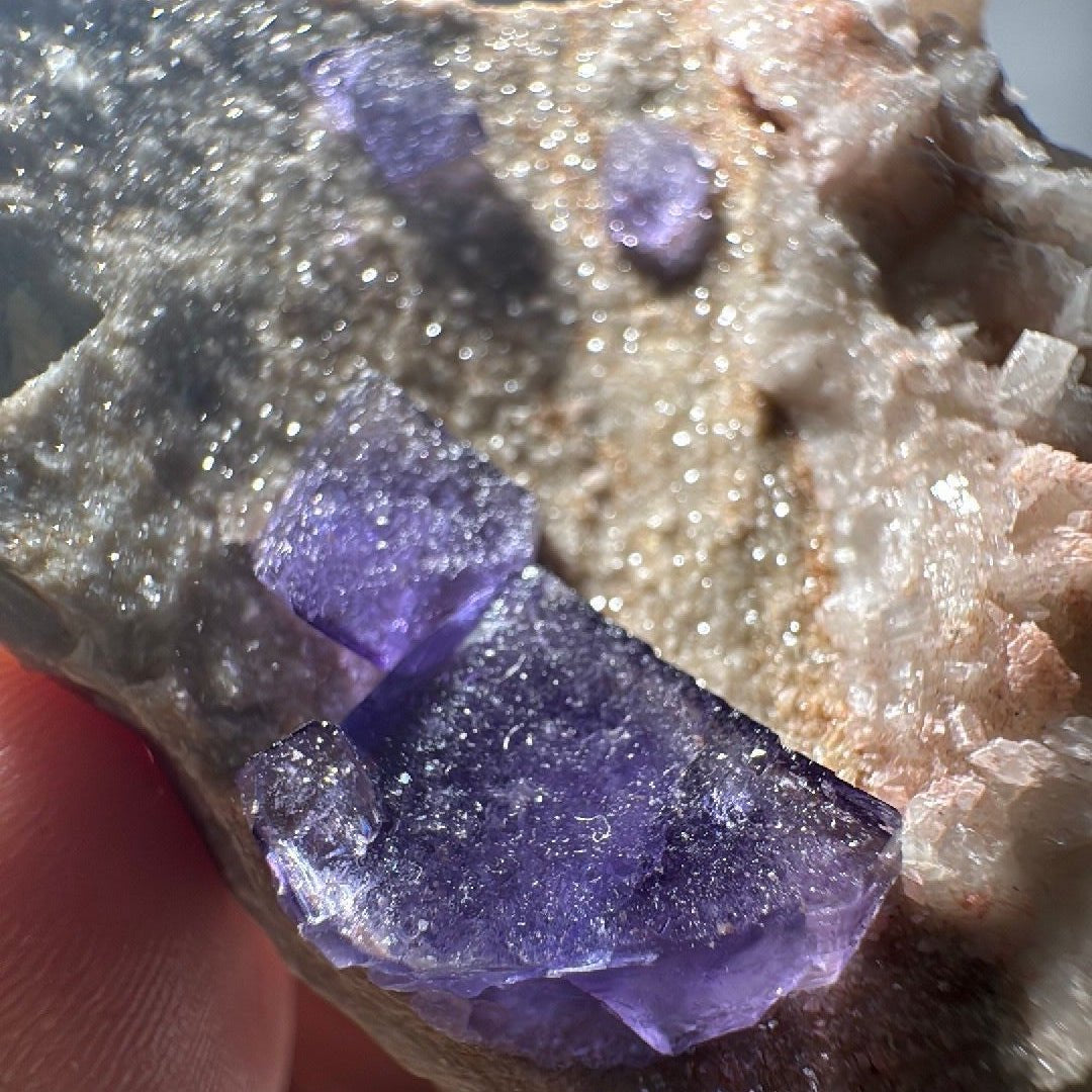 Close on a cluster of purple fluorite cubes sitting on sparkling druzy-covered rock