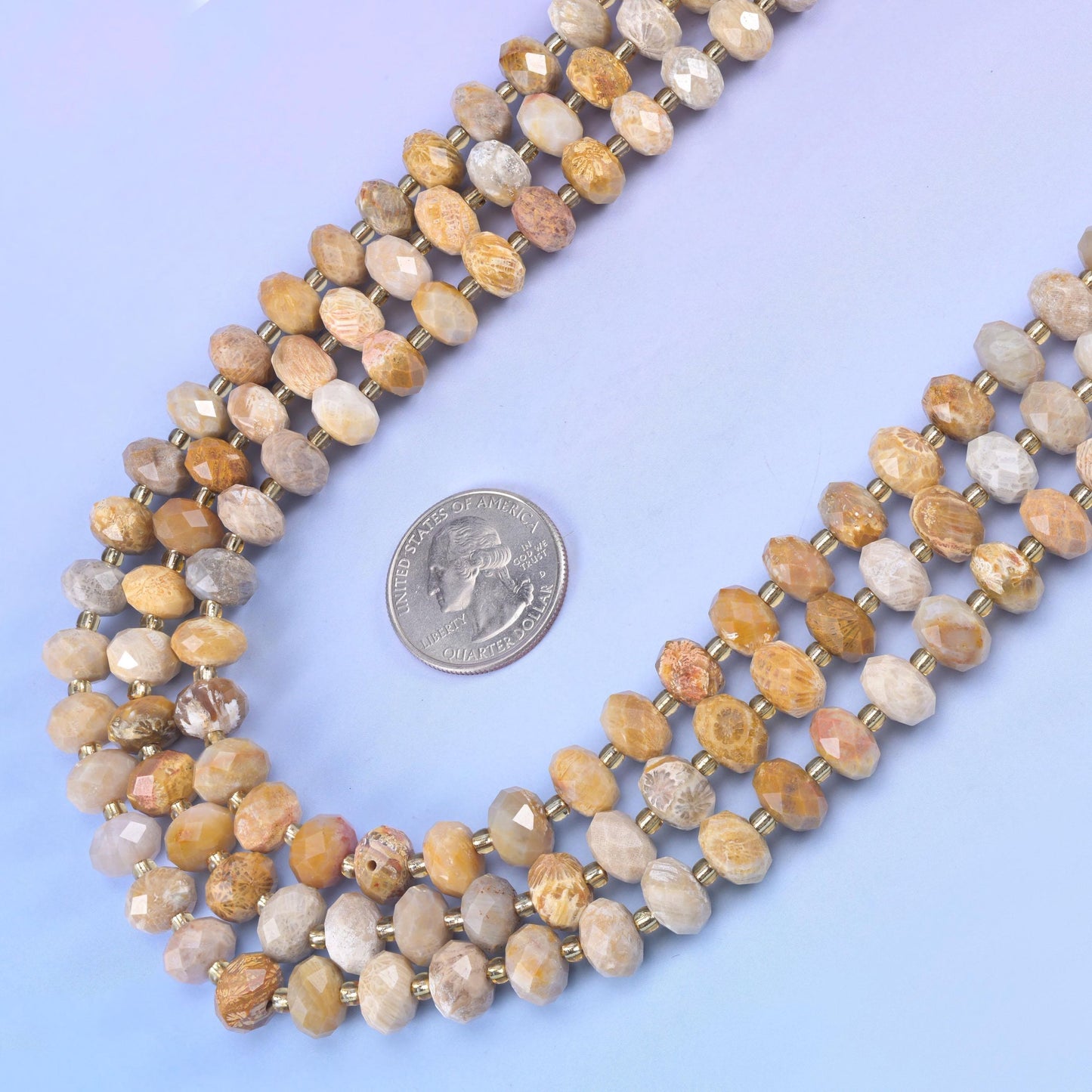 Fossil Coral faceted rondelle beads, 15.5 inch strand
