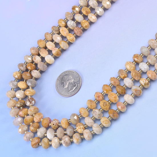 Fossil Coral faceted rondelle beads, 15.5 inch strand
