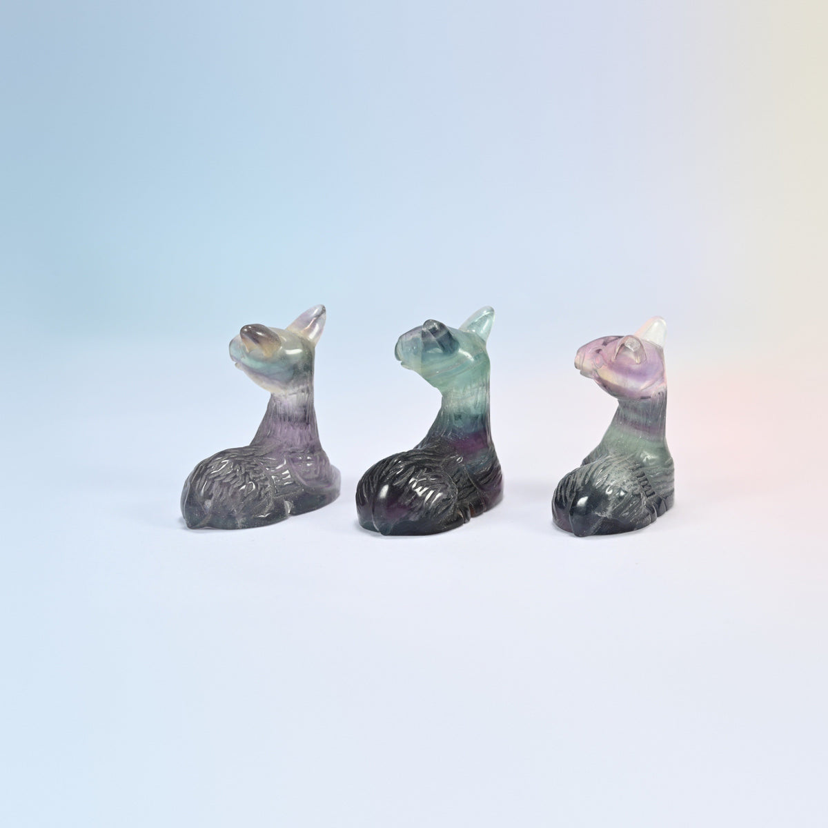 Back view of three natural rainbow fluorite deer carvings with tucked legs