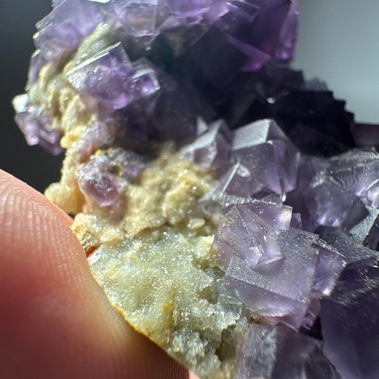 Backlit edge of the specimen showing pale yellow-green matrix beneath the purple fluorite crystals