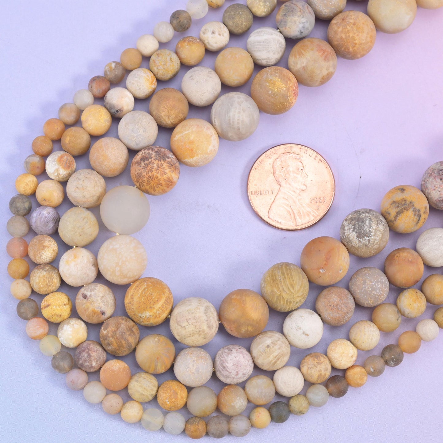 Fossil Coral round beads, 15 inch strand