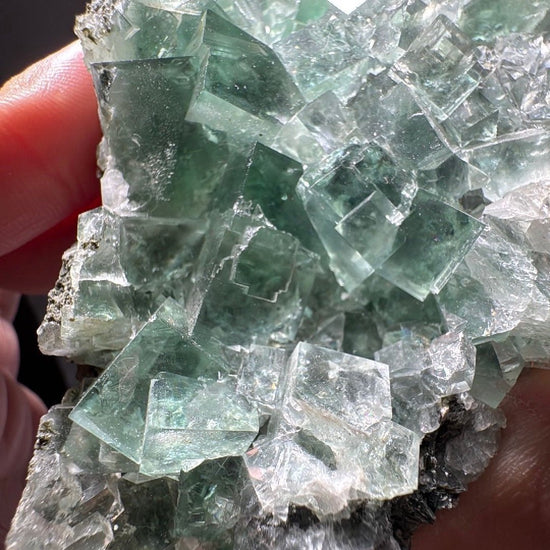 Green Fluorite cubes catching the light across the face of the cluster