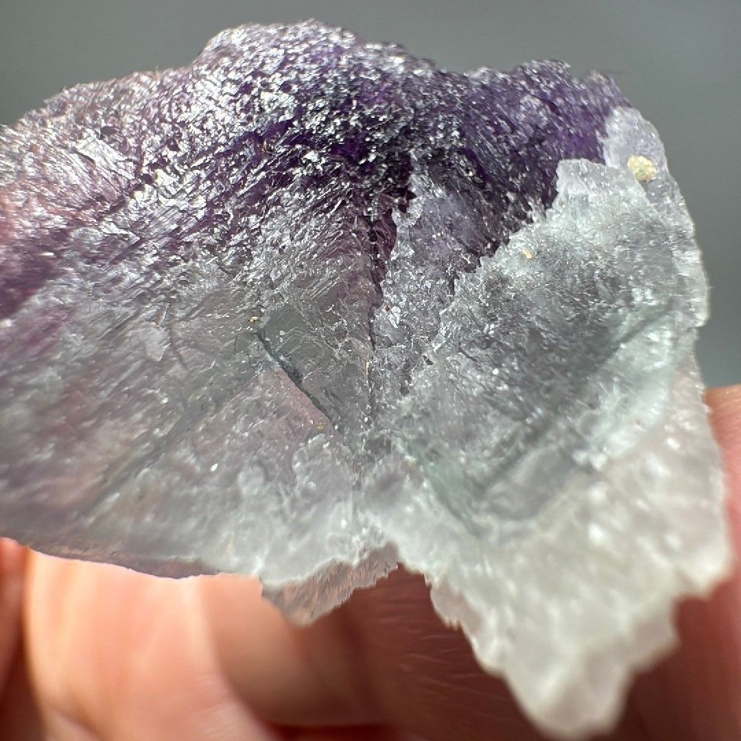 Reverse of the specimen, mostly pale frosted white with a violet cap along the top edge