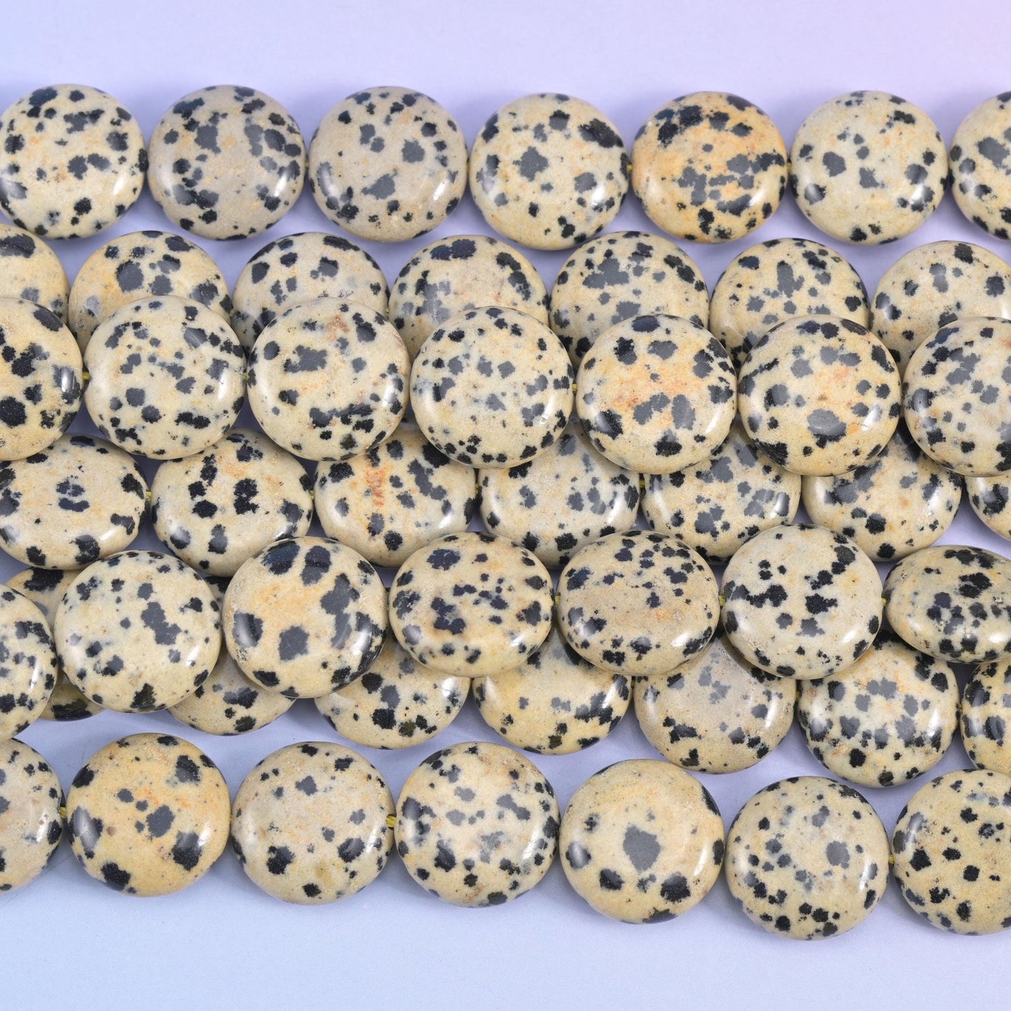 Dalmatian Jasper Smooth Coin Beads Size 15mm Jewelry Making 15 Inch Strand