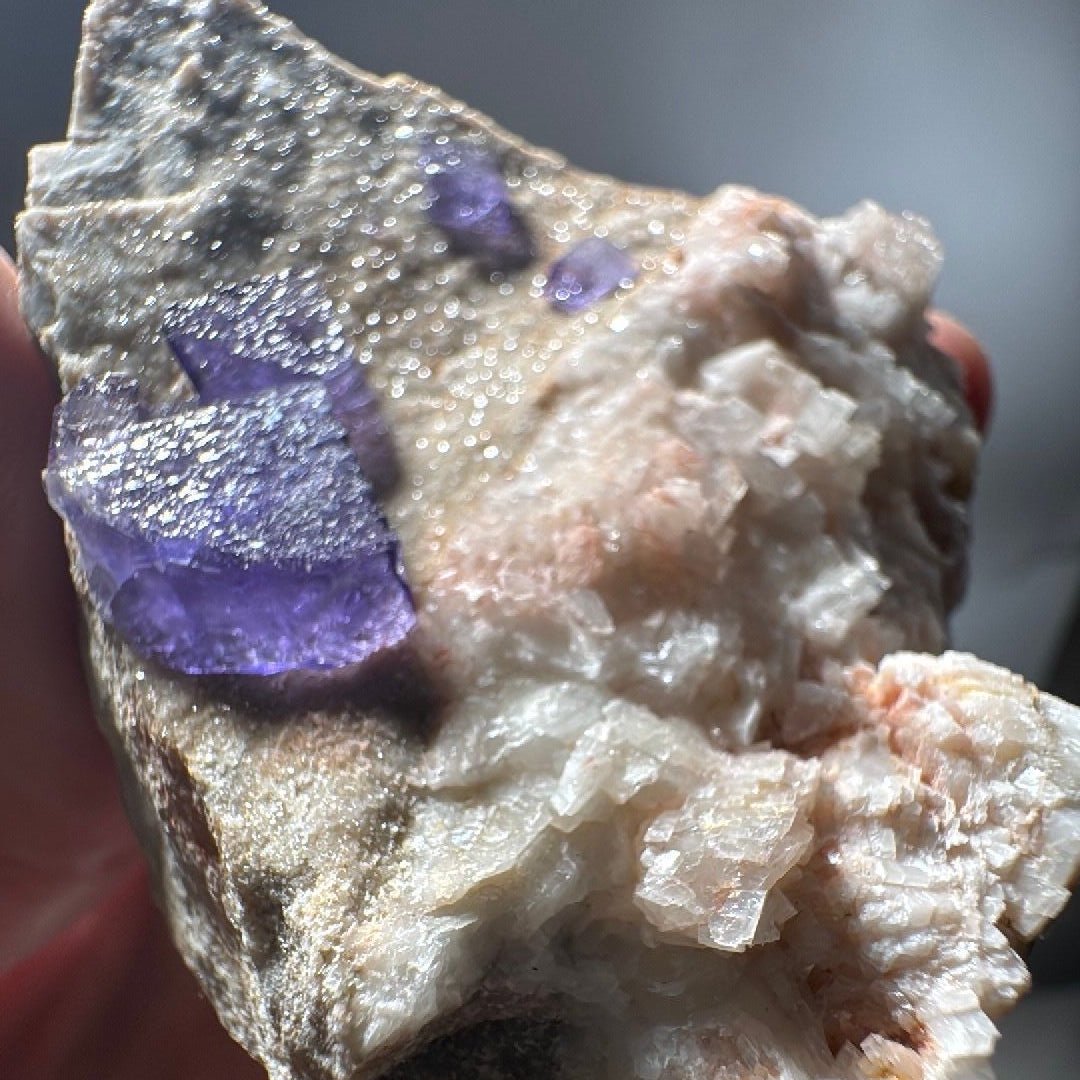 A single deep purple cube nested in pale pink matrix, close enough to see its glassy faces