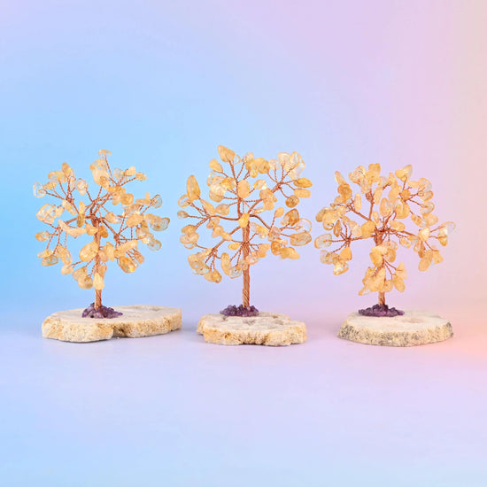 Crystal Tree of Life, 3.5 inches tall, druzy agate slice base approximately 2 to 2.5 inches across.